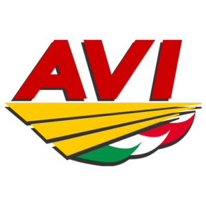 Compagnia Aerea Virtuale Italiana AVI