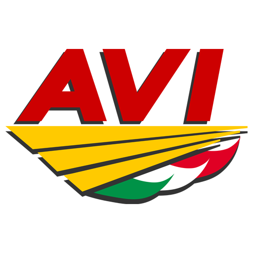 Compagnia Aerea Virtuale Italiana 
